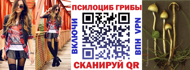 Псилоцибиновые грибы мухоморы  Купить  Чусовой 