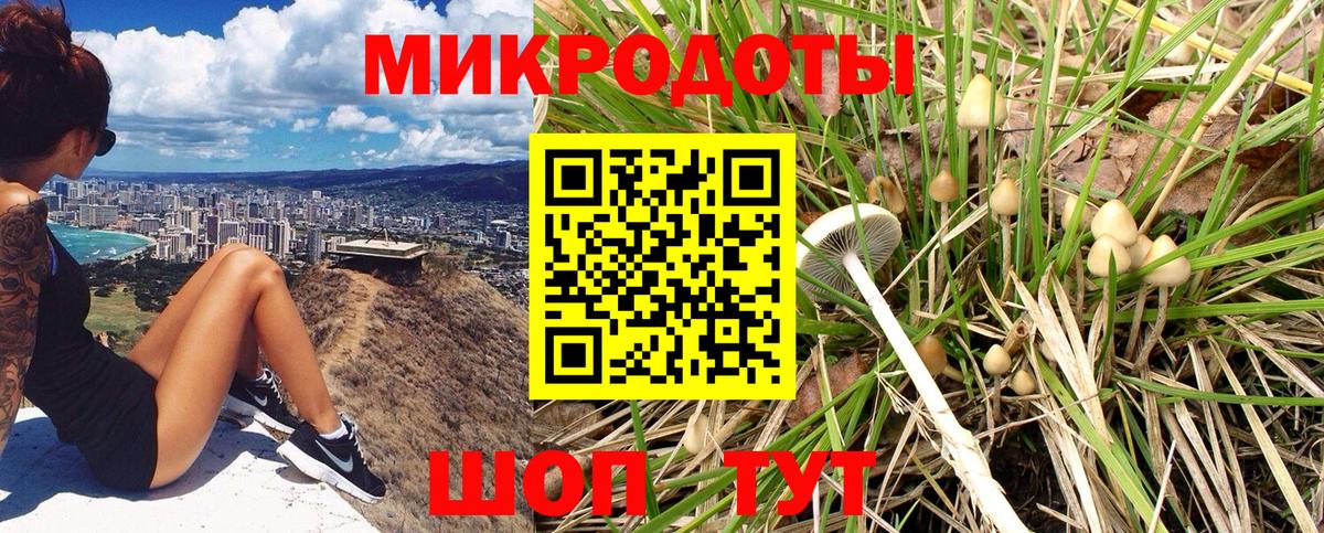 Псилоцибиновые грибы Psilocybine cubensis Чусовой