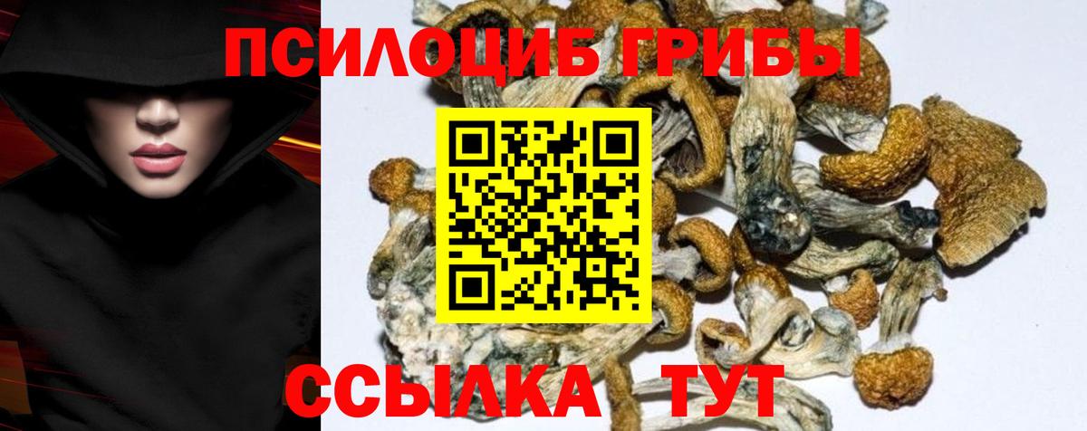 Галлюциногенные грибы Psilocybe  Галлюциногенные грибы MAGIC MUSHROOMS  Чусовой  Вход с VPN 
